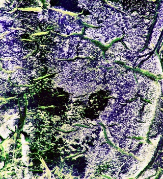 A 176B
